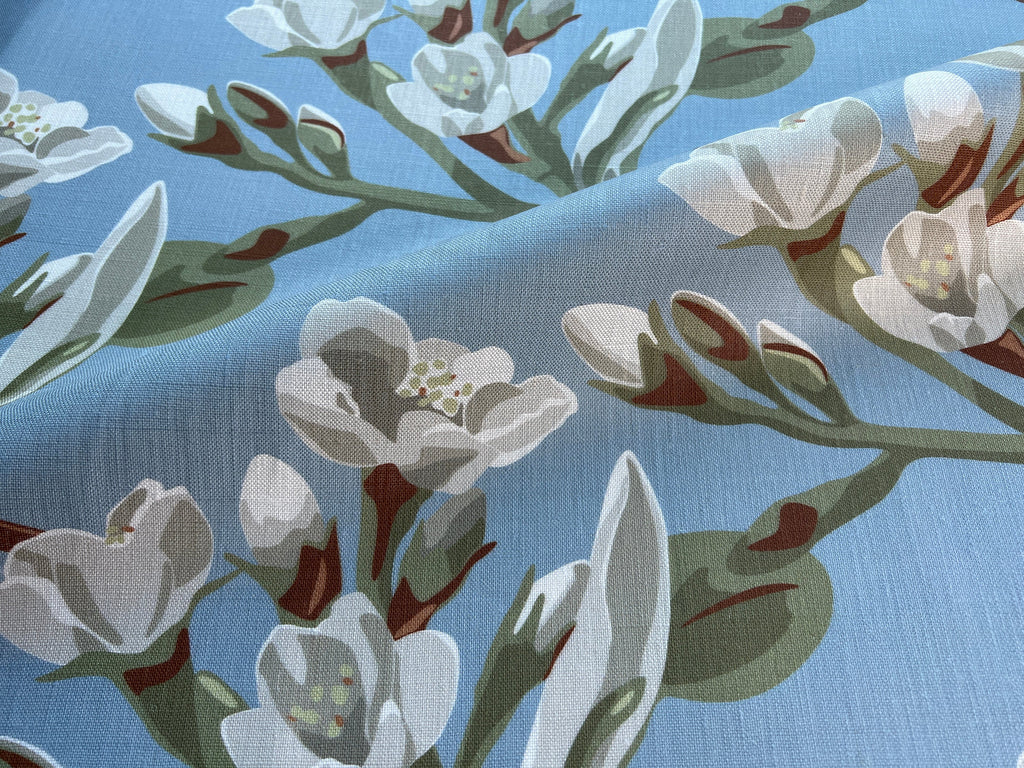 The Avila Collection